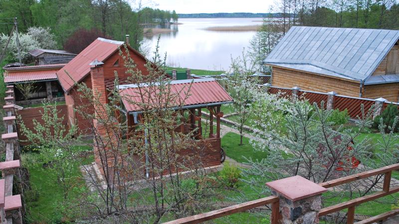 Наши соседи