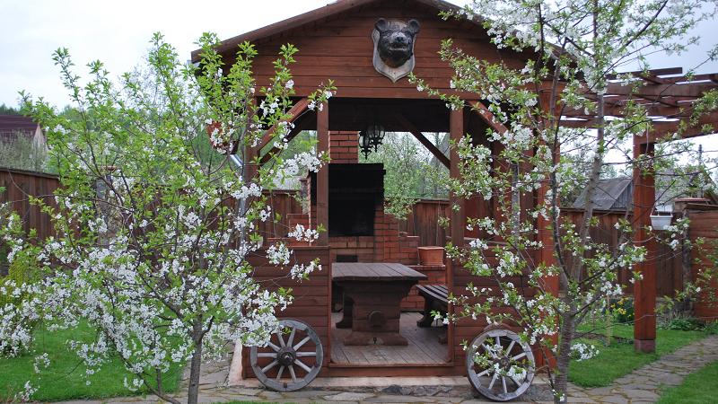 Наши соседи